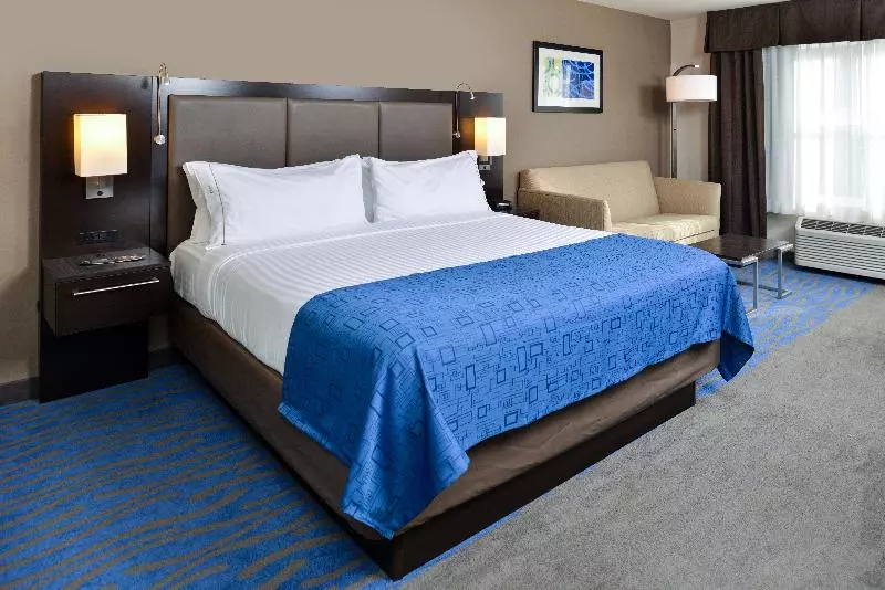 キングサイズベッドのスタンダードルーム, Holiday Inn Express Hotel & Suites St. Louis West O Fallon, An Ihg