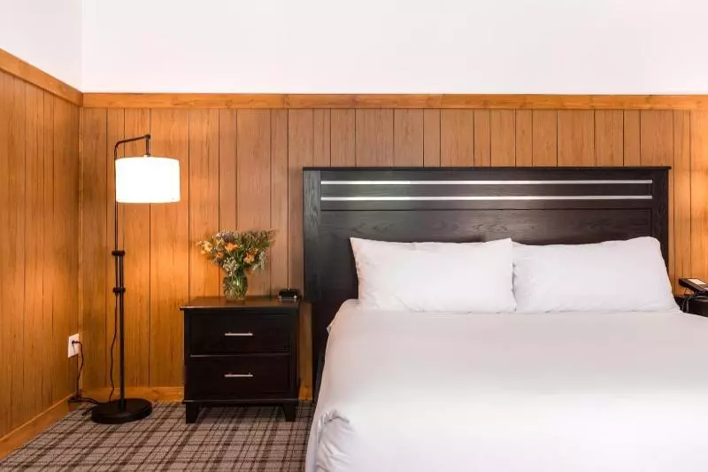 キングサイズベッドのスイートルーム, Holiday Inn Express Hotel & Suites St. Louis West O Fallon, An Ihg