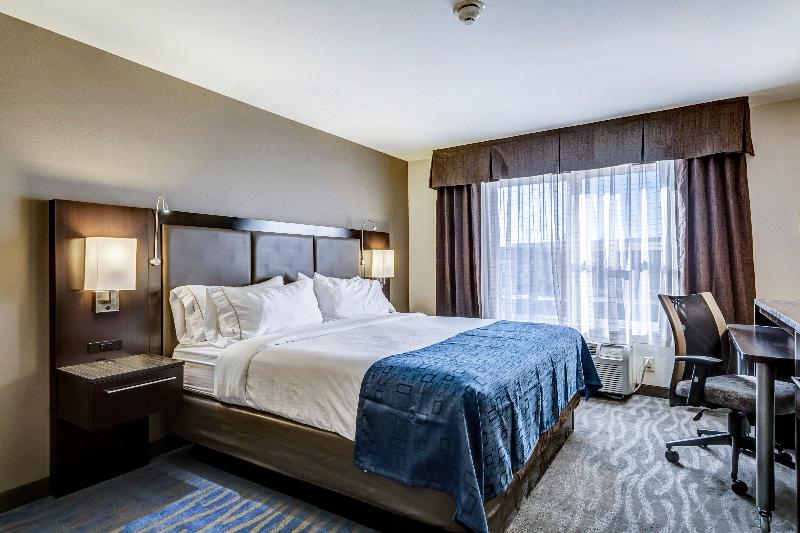 غرفة قياسية سرير كينج, Holiday Inn Express Hotel & Suites St. Louis West O Fallon, An Ihg