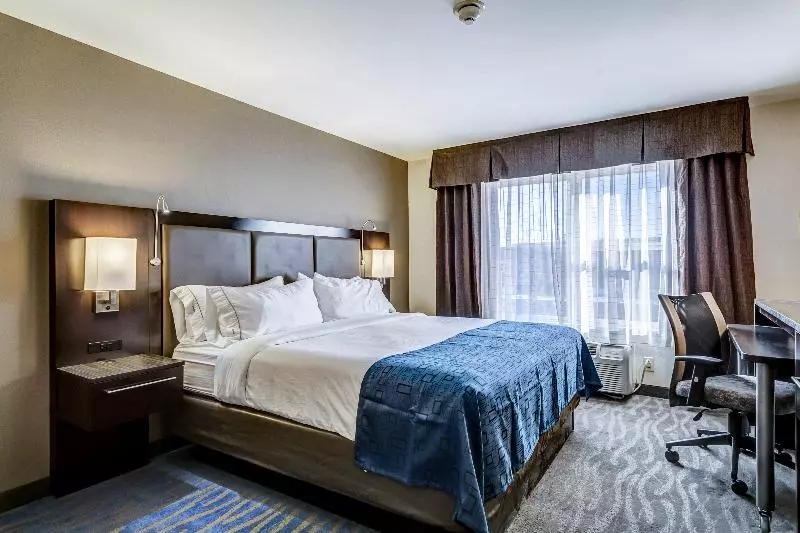 キングサイズベッドのスタンダードルーム, Holiday Inn Express Hotel & Suites St. Louis West O Fallon, An Ihg
