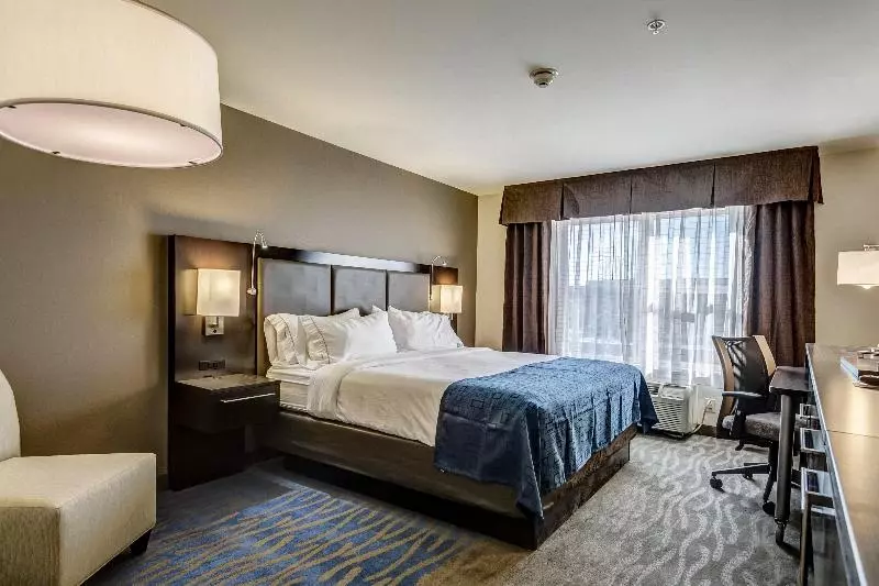 キングサイズベッドのスタンダードルーム, Holiday Inn Express Hotel & Suites St. Louis West O Fallon, An Ihg