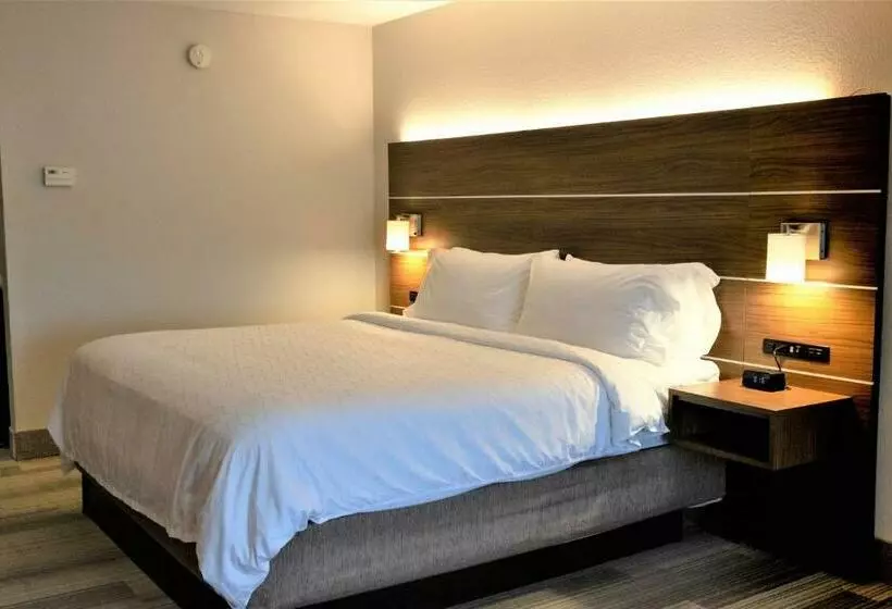 キングサイズベッドのスタンダードルーム, Holiday Inn Express, An Ihg