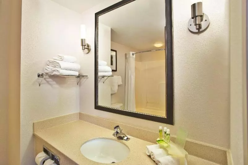 Sviitti King-vuode, Holiday Inn Express Hotel And Suites Harrington   Dover Area, An Ihg