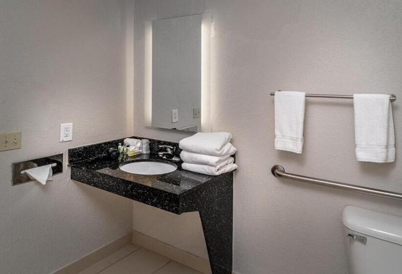 身障者適用キングサイズベッドルーム, Holiday Inn Express And Suites Pikeville, An Ihg