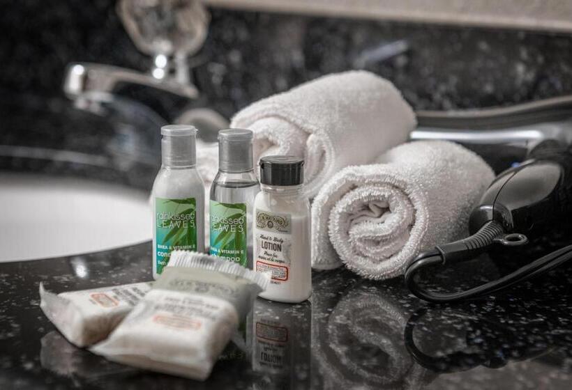 장애인을 위한 스위트, Holiday Inn Express And Suites Pikeville, An Ihg