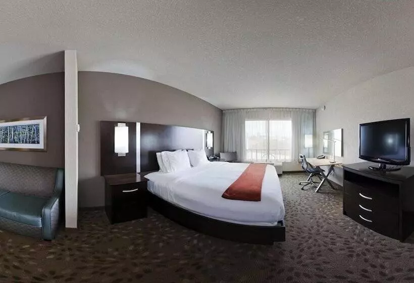 スイート, Holiday Inn Express Hotel And Suites Saint Robert, An Ihg