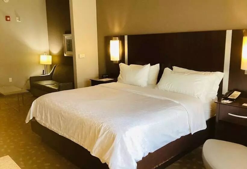 スイート, Holiday Inn Express Hotel And Suites Saint Robert, An Ihg