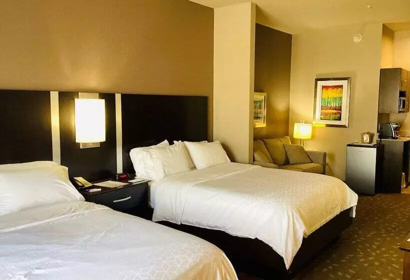 スイート, Holiday Inn Express Hotel And Suites Saint Robert, An Ihg
