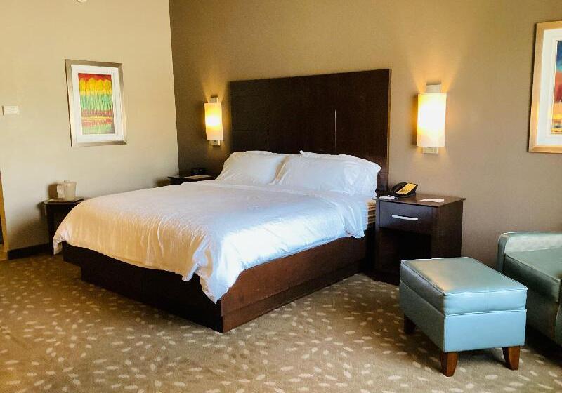 장애인을 위한 킹사이즈 침대 스탠다드 룸, Holiday Inn Express Hotel And Suites Saint Robert, An Ihg