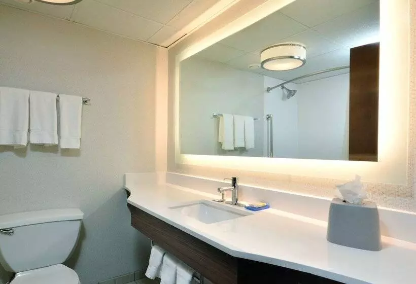 ２ダブルベッドのスタンダードルーム, Holiday Inn Express Durham, An Ihg