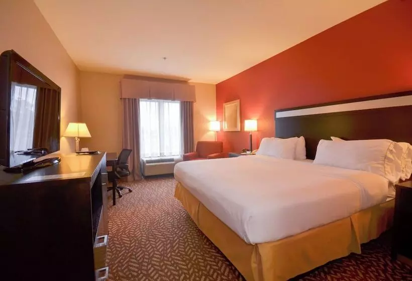 スタンダードルーム, Holiday Inn Express & Suites Pine Bluff/pines Mall, An Ihg