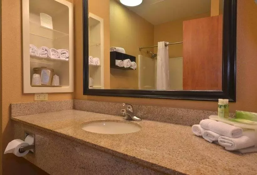 スイート, Holiday Inn Express & Suites Pine Bluff/pines Mall, An Ihg
