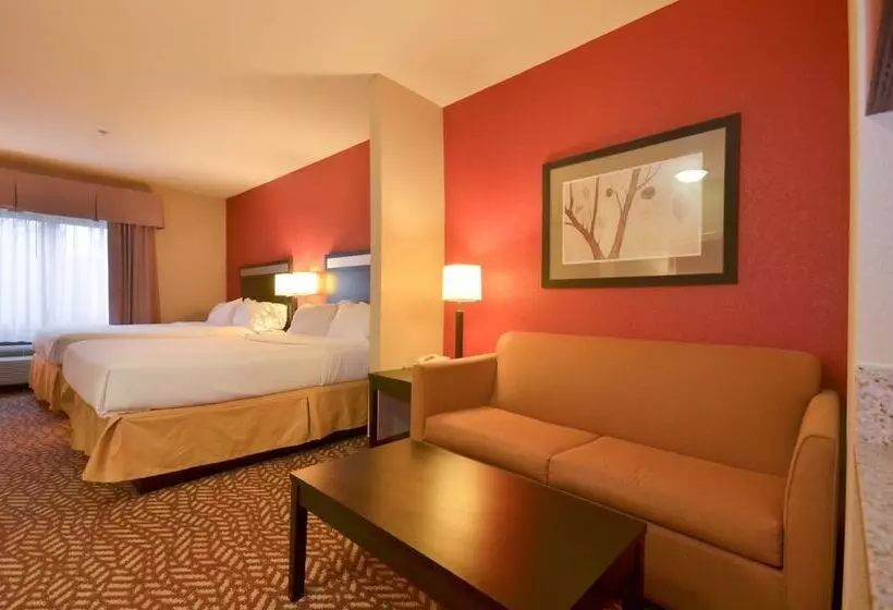 スイート, Holiday Inn Express & Suites Pine Bluff/pines Mall, An Ihg
