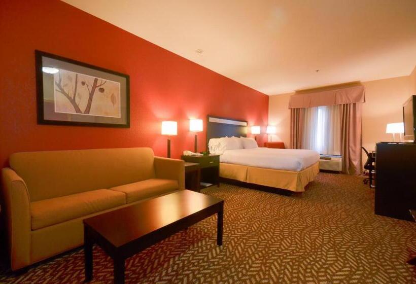 Sviitti King-vuode, Holiday Inn Express & Suites Pine Bluff/pines Mall, An Ihg
