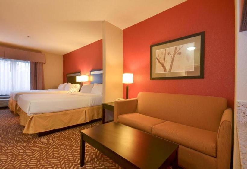 جناح, Holiday Inn Express & Suites Pine Bluff/pines Mall, An Ihg