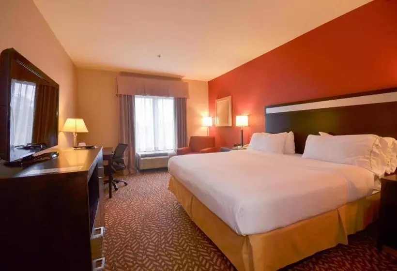 キングサイズベッドのスタンダードルーム, Holiday Inn Express & Suites Pine Bluff/pines Mall, An Ihg