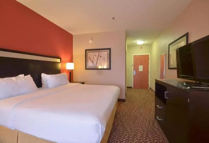 キングサイズベッドのスタンダードルーム, Holiday Inn Express & Suites Pine Bluff/pines Mall, An Ihg