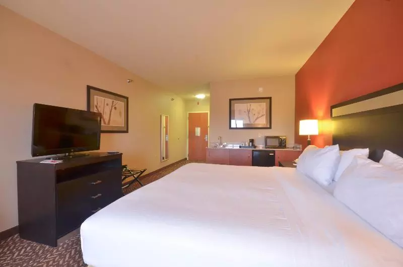 キングサイズベッドのスイートルーム, Holiday Inn Express & Suites Pine Bluff/pines Mall, An Ihg