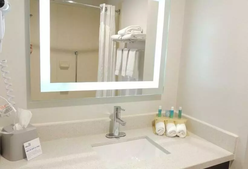 Sviitti King-vuode, Holiday Inn Express & Suites Birmingham NE - Trussville