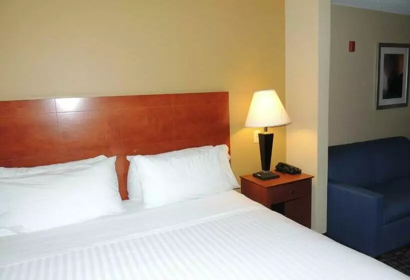 Sviitti King-vuode, Holiday Inn Express & Suites Birmingham NE - Trussville