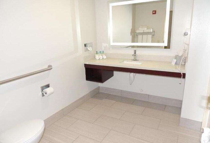 غرفة قياسية سرير كينج لذوى الإحتياجات الخاصة, Holiday Inn Express Trussville, An Ihg