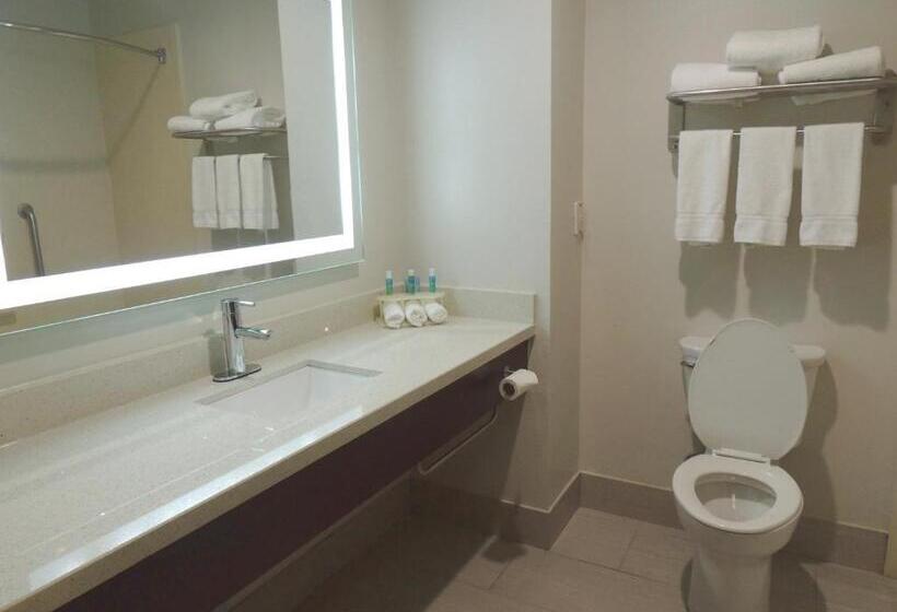 غرفة قياسية سرير كينج لذوى الإحتياجات الخاصة, Holiday Inn Express Trussville, An Ihg