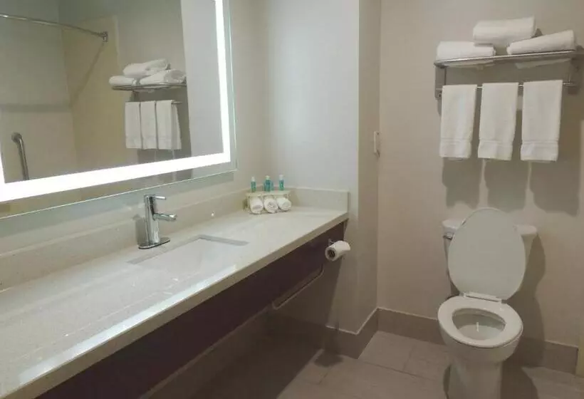 Standard-invahuone King-vuode, Holiday Inn Express & Suites Birmingham NE - Trussville