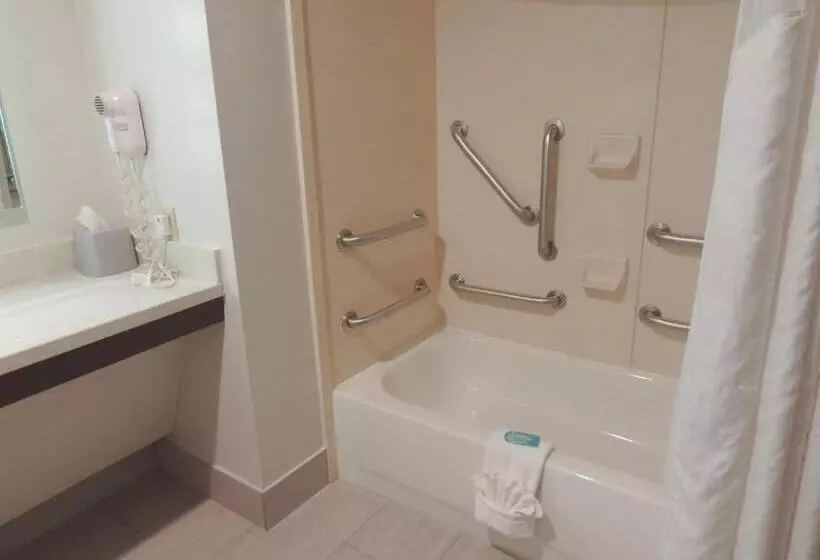 Standard-invahuone King-vuode, Holiday Inn Express & Suites Birmingham NE - Trussville