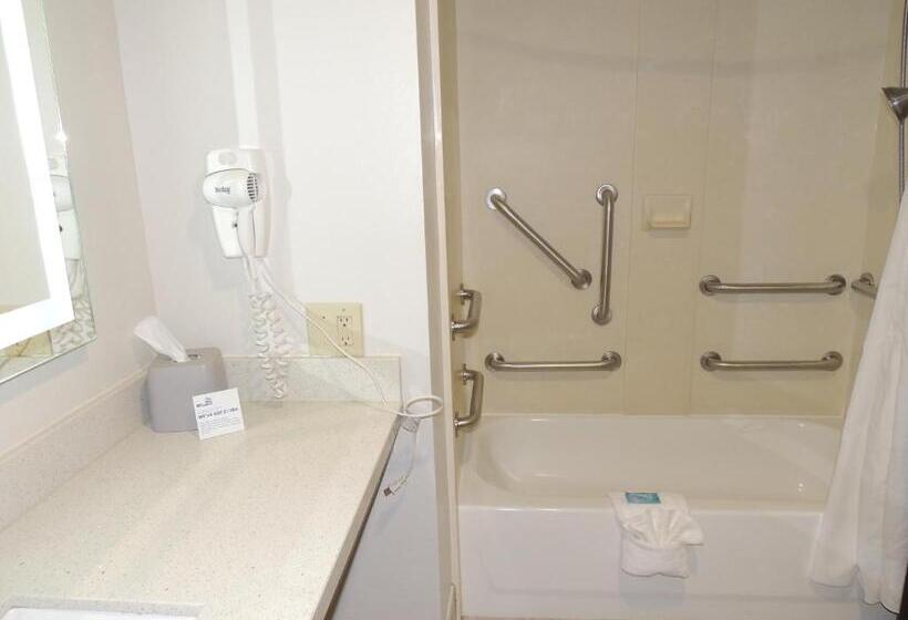 장애인을 위한 킹사이즈 침대 스탠다드 룸, Holiday Inn Express Trussville, An Ihg