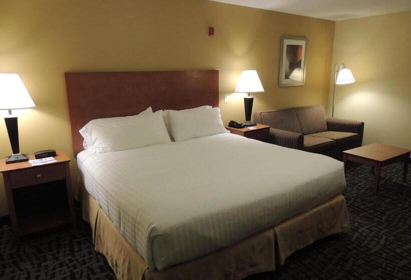 غرفة قياسية سرير كينج, Holiday Inn Express Trussville, An Ihg