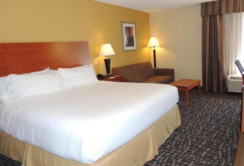 غرفة قياسية سرير كينج, Holiday Inn Express Trussville, An Ihg