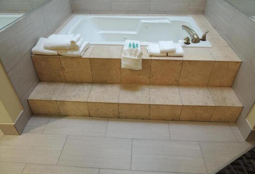 جناح رئاسى, Holiday Inn Express Trussville, An Ihg