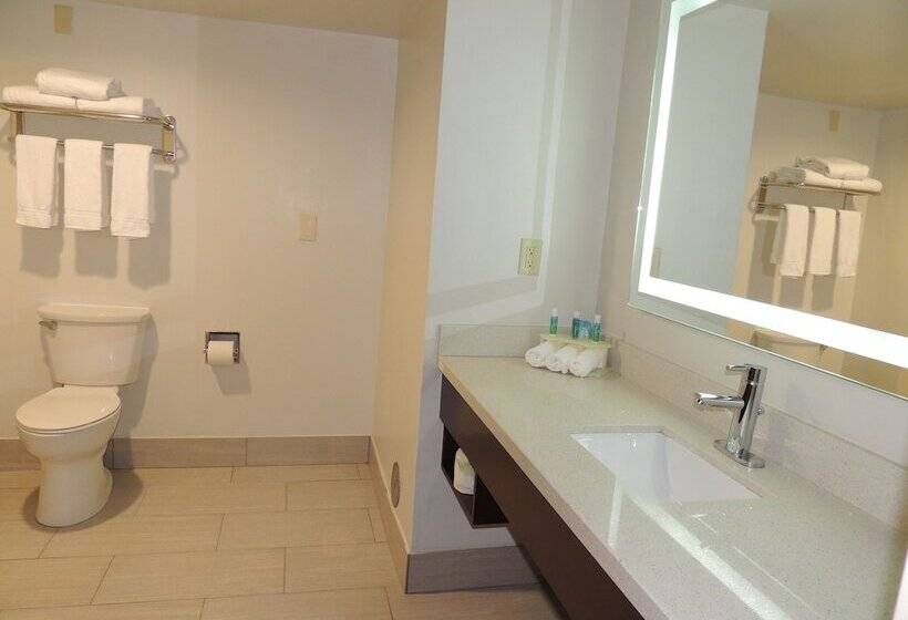 스위트, Holiday Inn Express Trussville, An Ihg