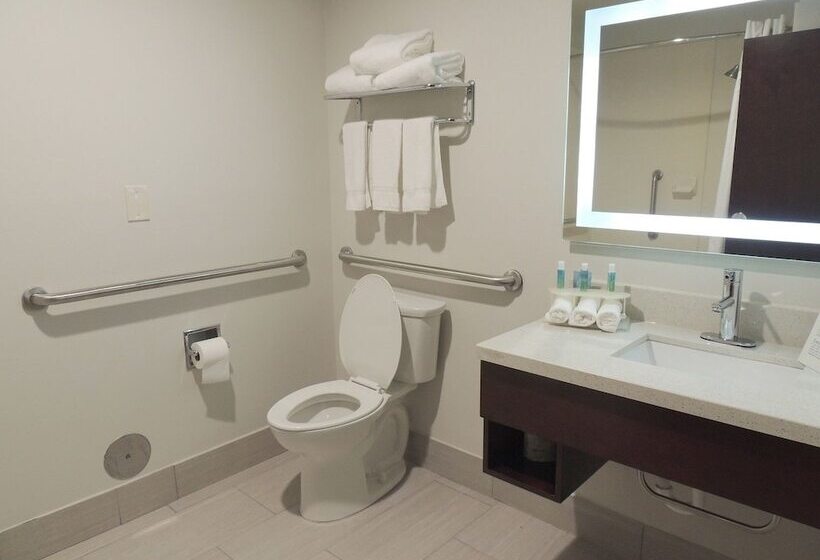 جناح لذوى الاحتياجات الخاصة, Holiday Inn Express Trussville, An Ihg