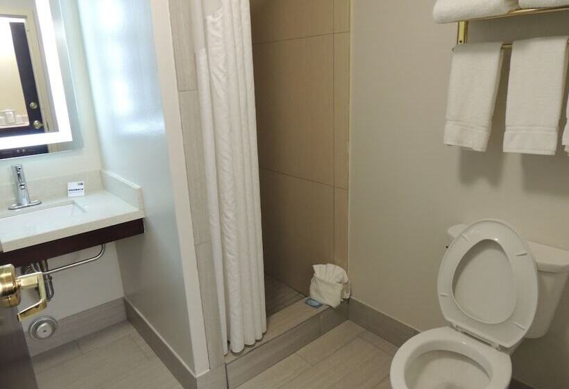 스위트, Holiday Inn Express Trussville, An Ihg