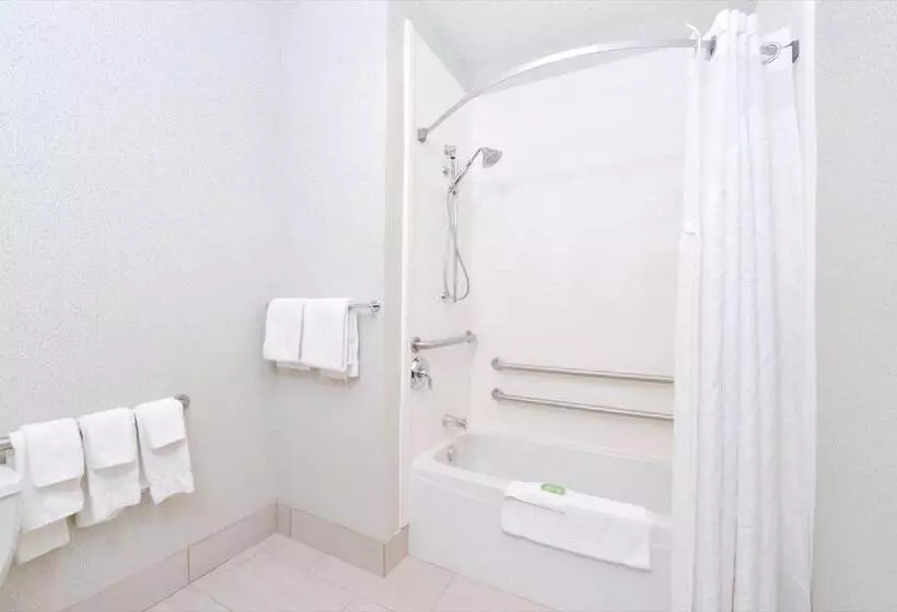 身障者適用スタンダードルーム, Holiday Inn Express Wixom, An Ihg
