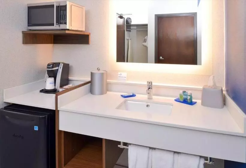 身障者適用スタンダードルーム, Holiday Inn Express Wixom, An Ihg