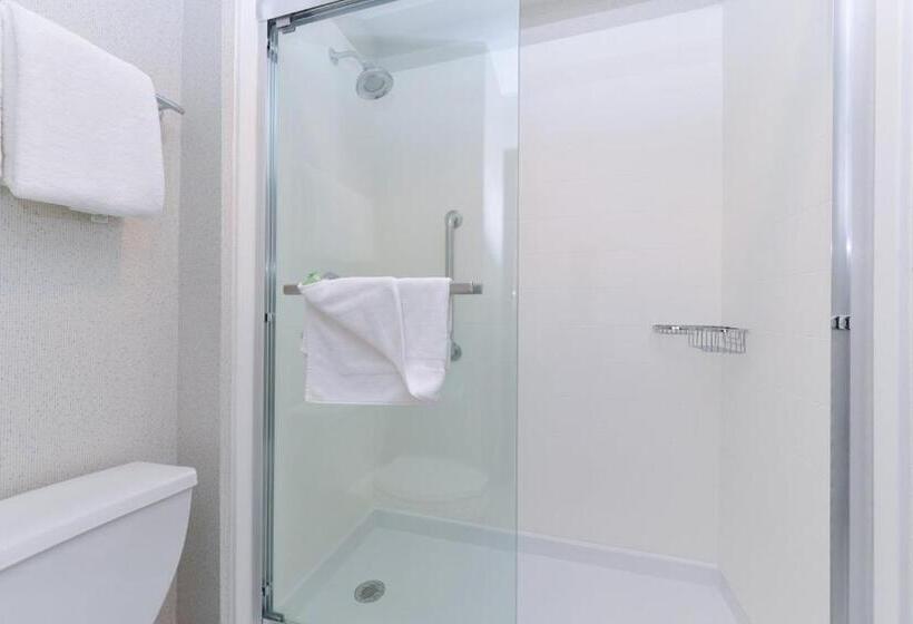 带大床的标准间, Holiday Inn Express Wixom, An Ihg