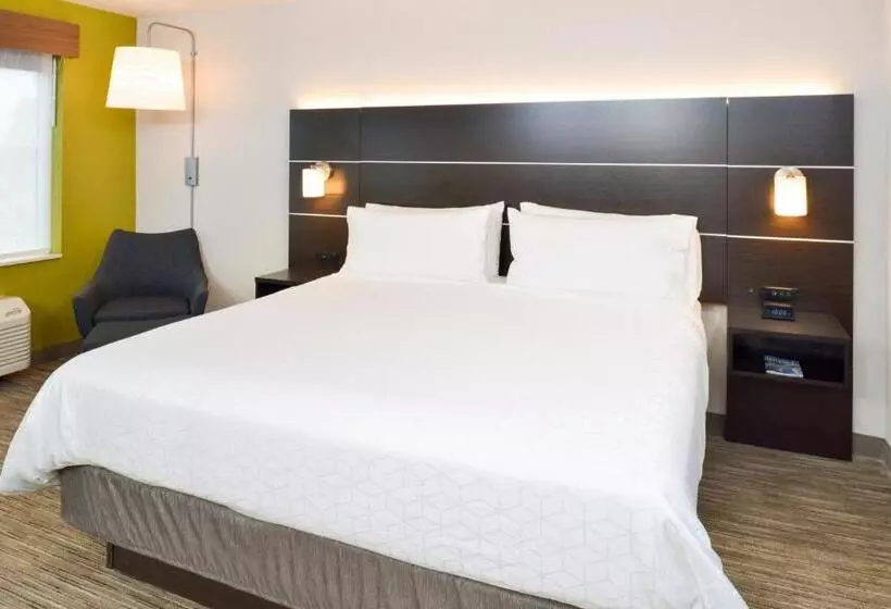 キングサイズベッドのスタンダードルーム, Holiday Inn Express Wixom, An Ihg