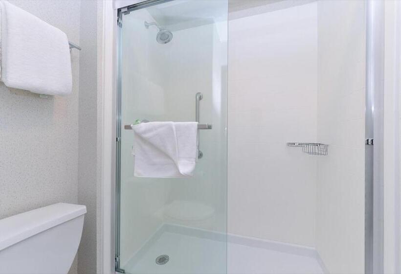 Стандартный Номер Кровать Кинг, Holiday Inn Express Wixom, An Ihg