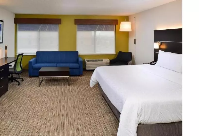 キングサイズベッドのエクゼクティブルーム, Holiday Inn Express Wixom, An Ihg