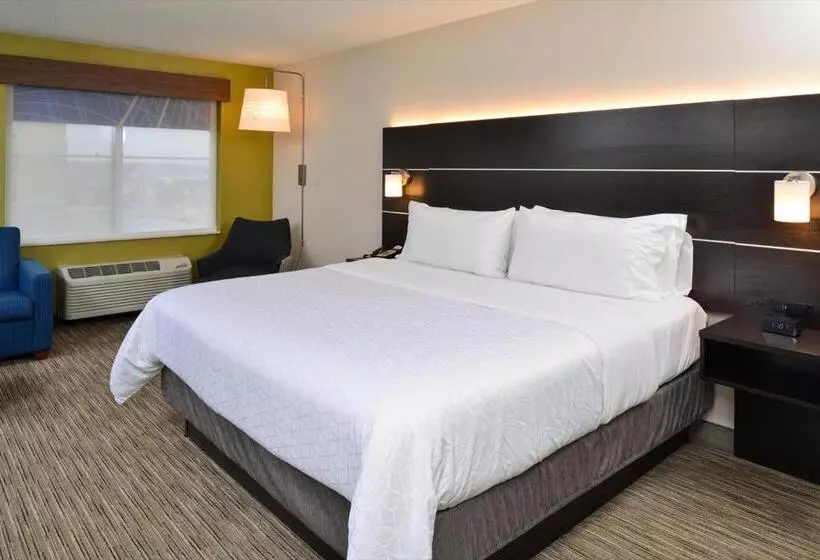 キングサイズベッドのエクゼクティブルーム, Holiday Inn Express Wixom, An Ihg