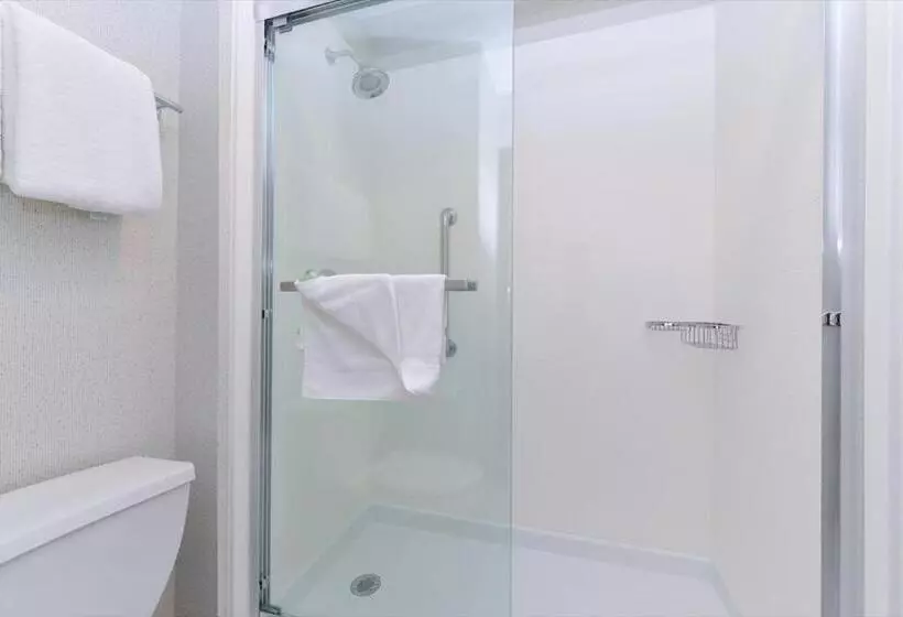 キングサイズベッドのエクゼクティブルーム, Holiday Inn Express Wixom, An Ihg