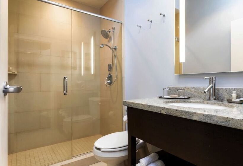 اتاق استاندارد با 2 تخت دوبل, Indigo Baton Rouge Downtown, An Ihg