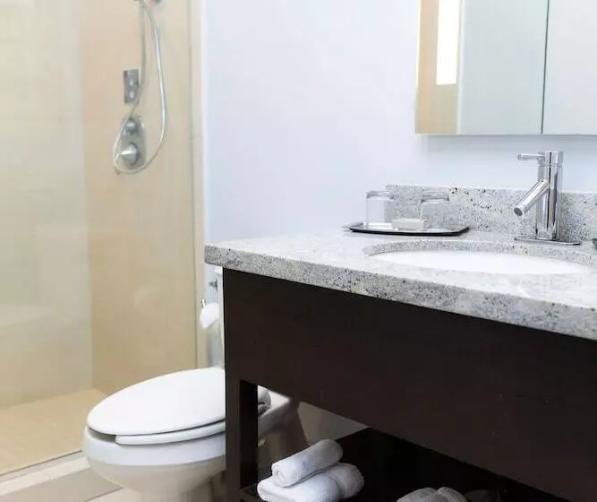 ２ダブルベッドのスタンダードルーム, Indigo Baton Rouge Downtown, An Ihg