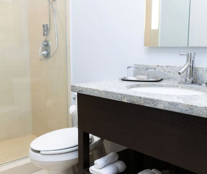 اتاق استاندارد, Indigo Baton Rouge Downtown, An Ihg