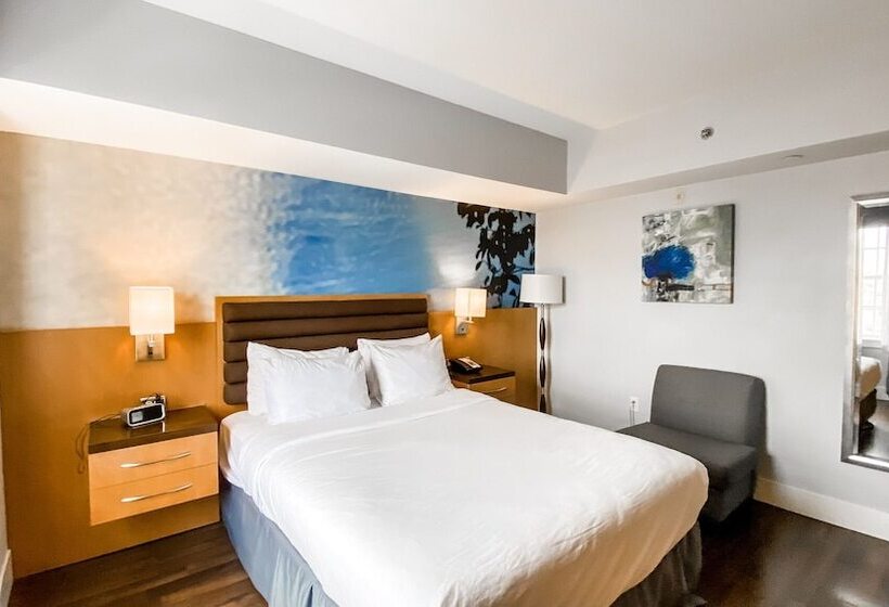 اتاق استاندارد, Indigo Baton Rouge Downtown, An Ihg