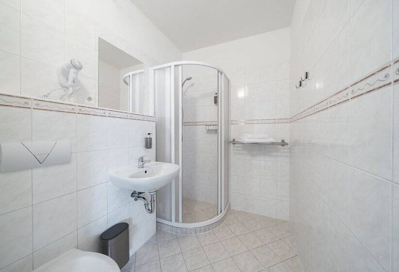 Quarto Estandar Individual, Leon