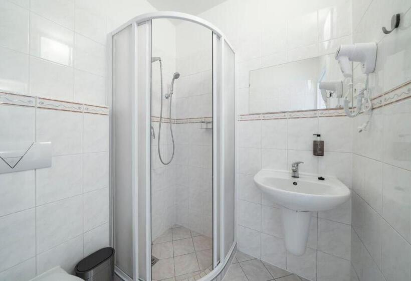 Quarto Estandar Individual, Leon