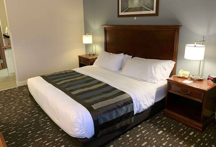 プレジデントスイートルーム, Wingate By Wyndham Brighton